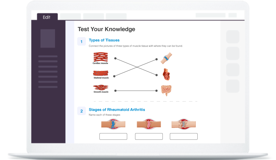 Interactive questions & assessments